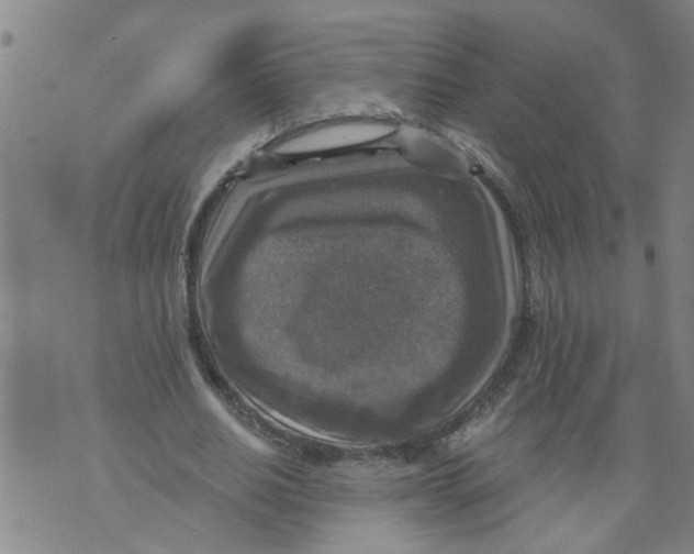 X0000073890630200609082124