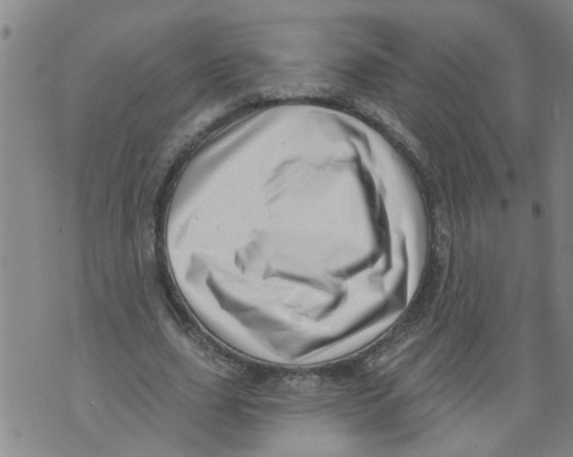 X0000073890631200609082124