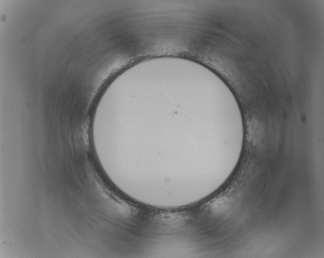 X0000073890632200609082124