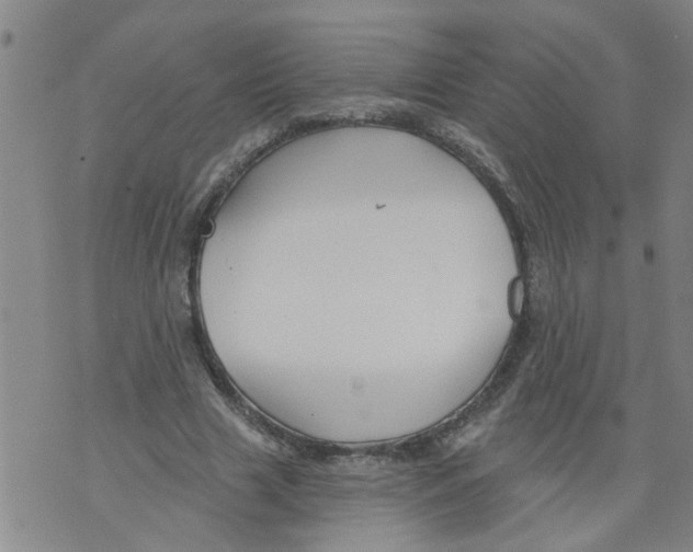 X0000073890633200609082124