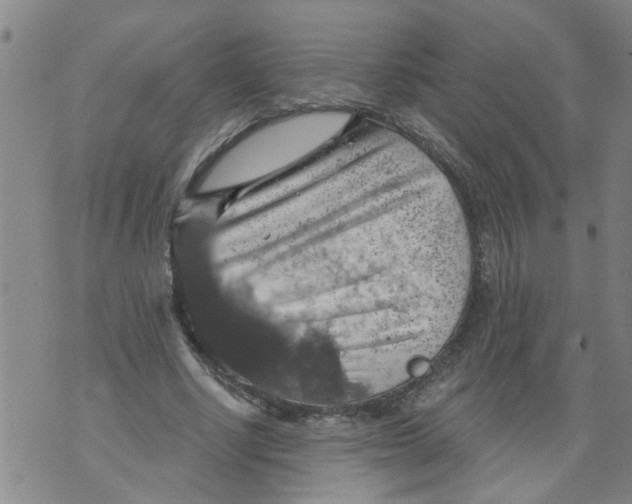 X0000073890634200609082124