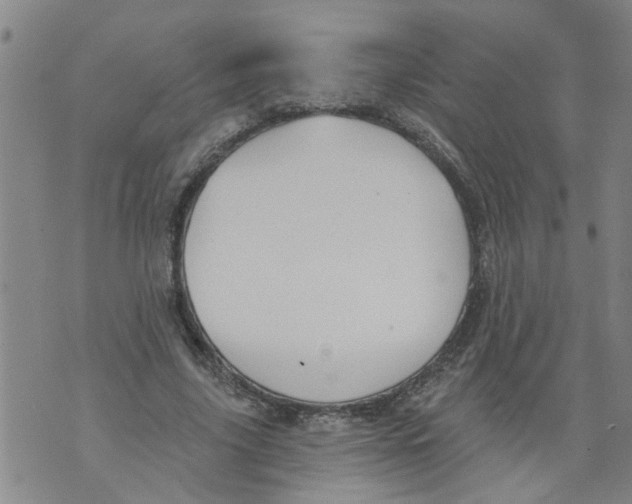 X0000073890635200609082124