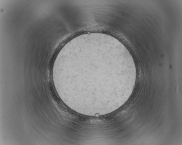 X0000073890636200609082124