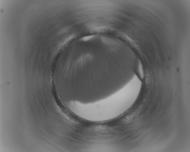 X0000073890637200609082124