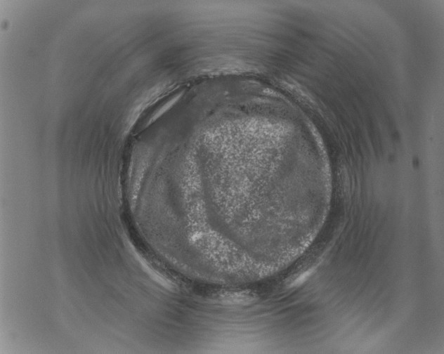 X0000073890638200609082124