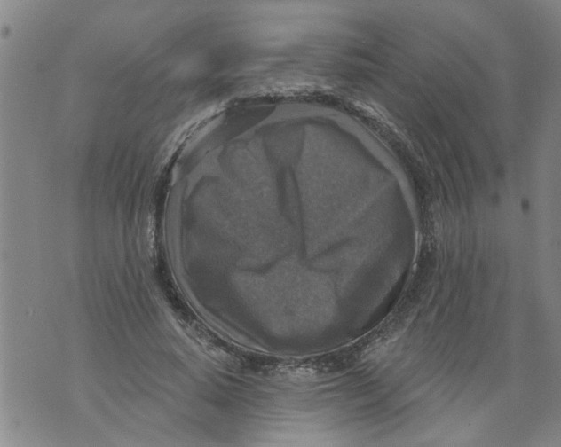 X0000073890640200609082124