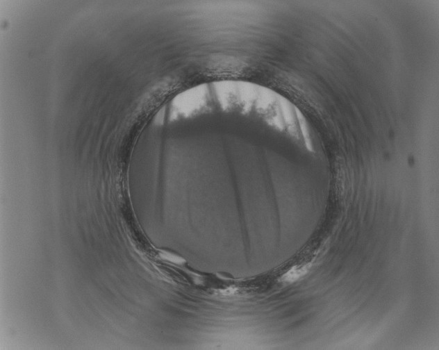 X0000073890641200609082124