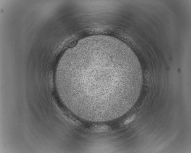 X0000073890642200609082124