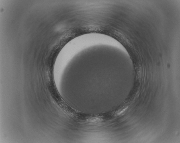 X0000073890643200609082124