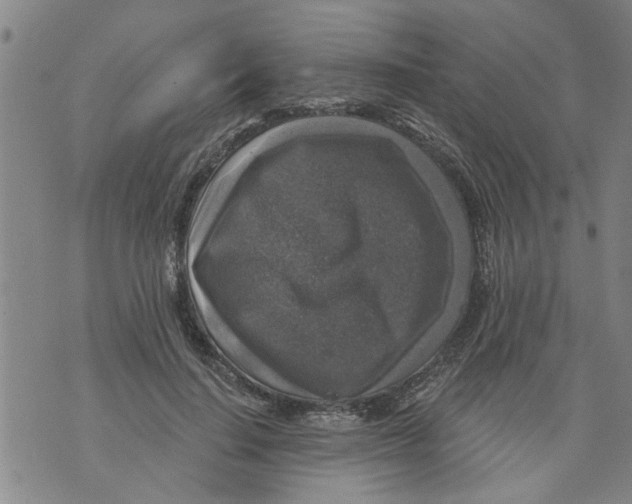 X0000073890644200609082124