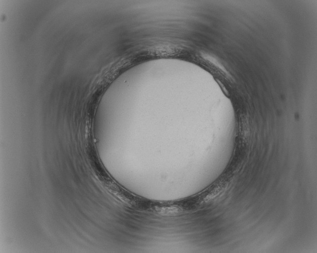 X0000073890645200609082124