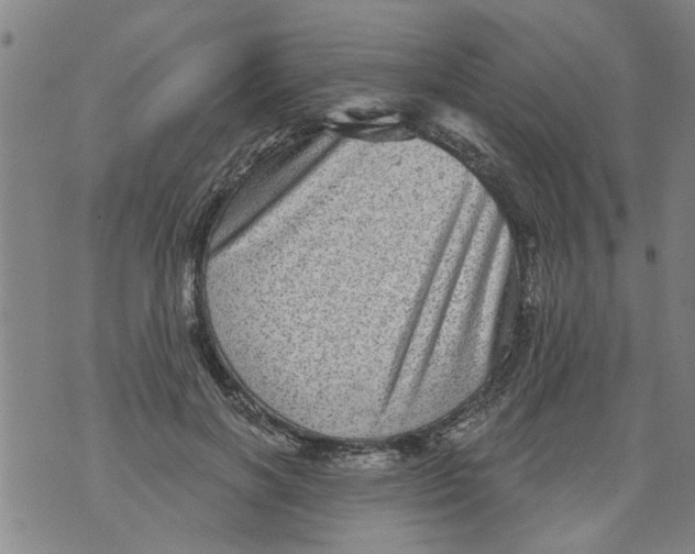 X0000073890646200609082124