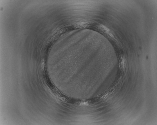 X0000073890647200609082124