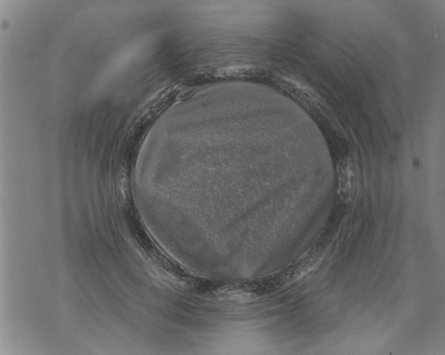 X0000073890648200609082124