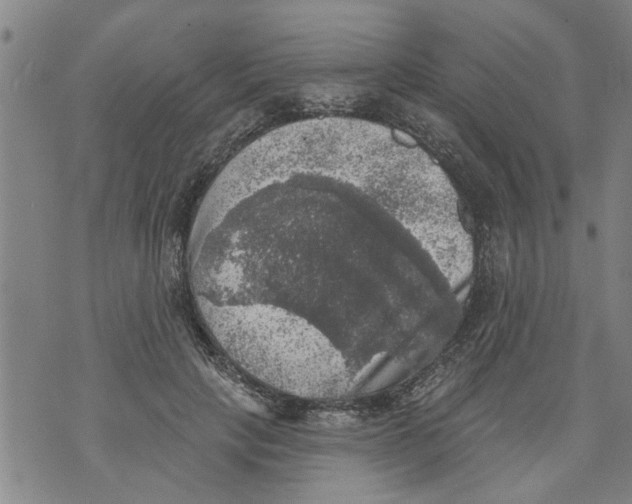 X0000073890649200609082124