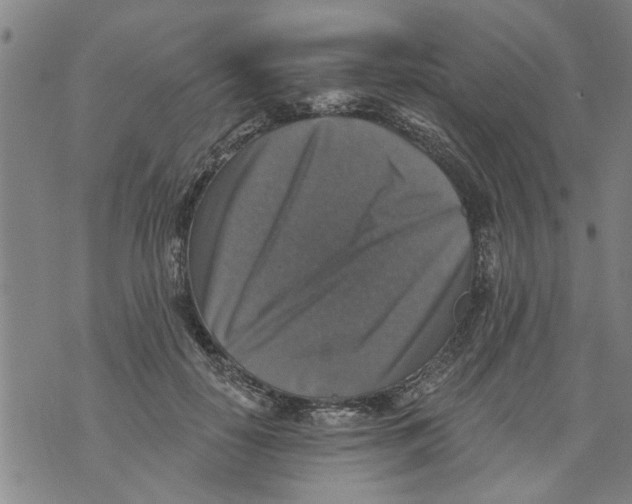 X0000073890650200609082124