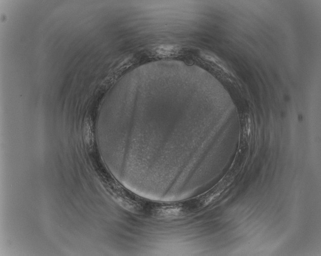 X0000073890651200609082124