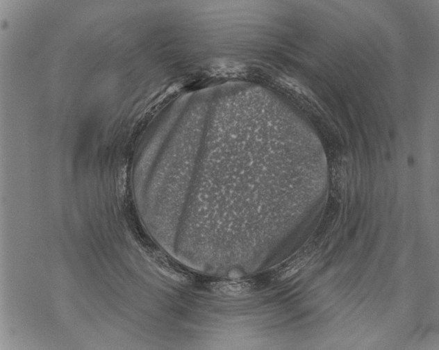 X0000073890652200609082124