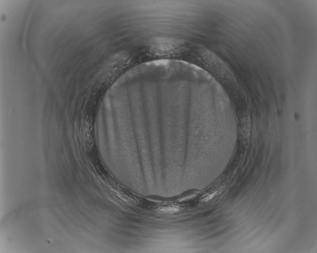 X0000073890653200609082124