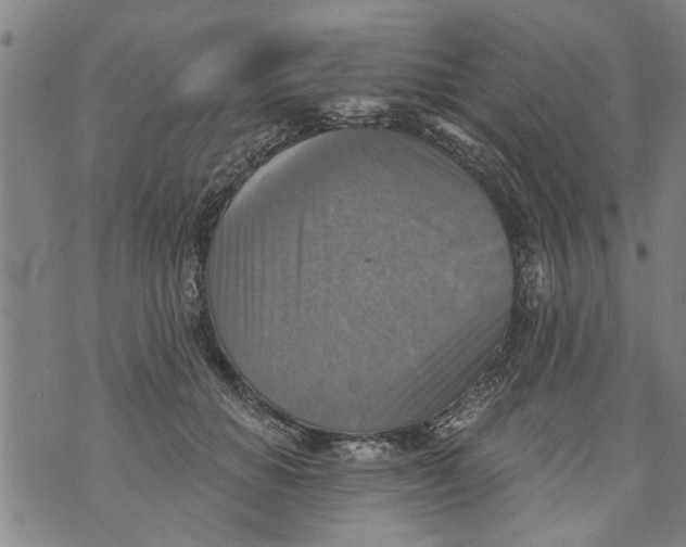 X0000073890654200609082124