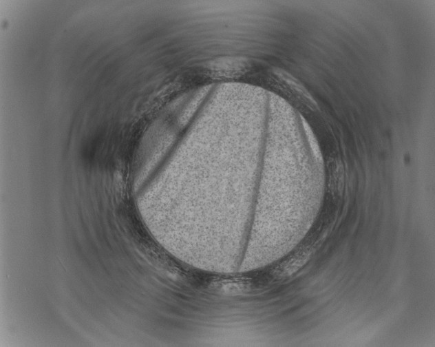 X0000073890655200609082124