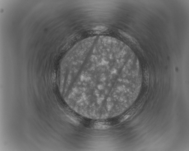 X0000073890657200609082124