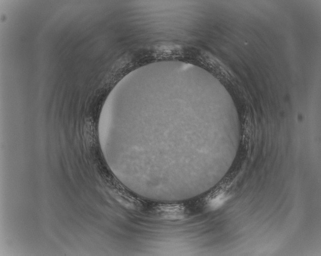 X0000073890659200609082124