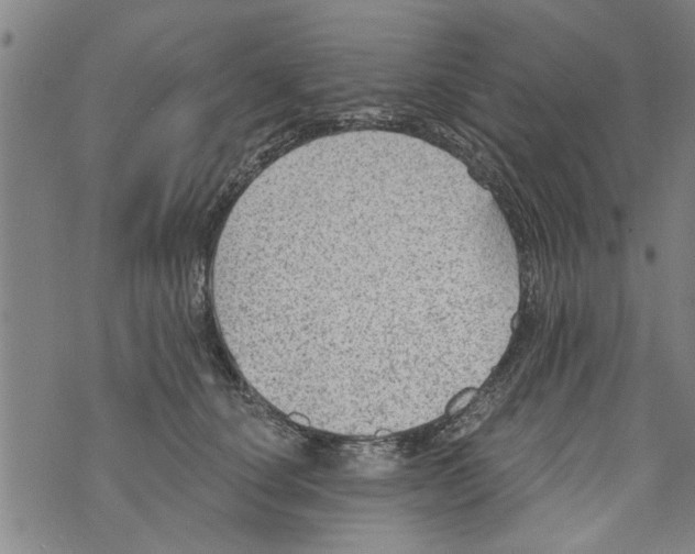 X0000073890660200609082124