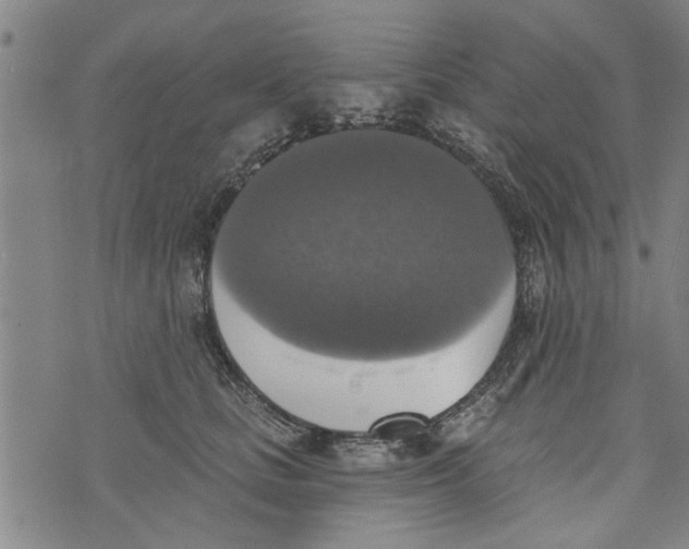 X0000073890661200609082124