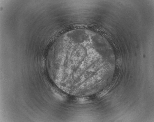 X0000073890662200609082124