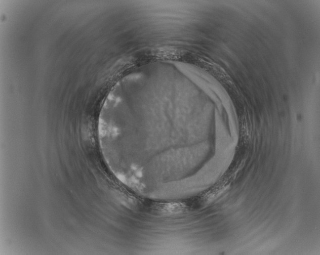 X0000073890663200609082124