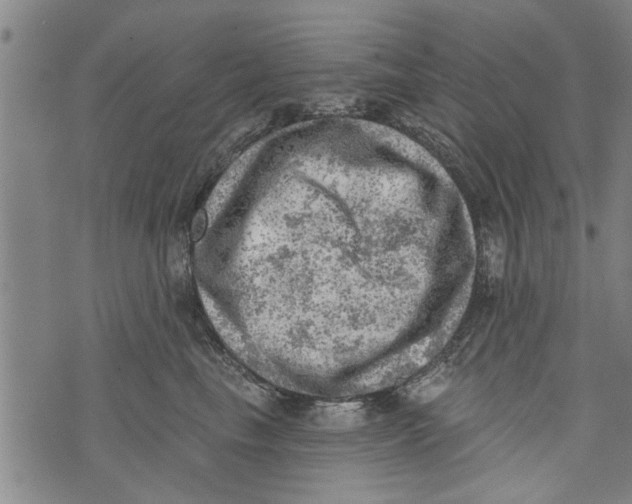 X0000073890665200609082124