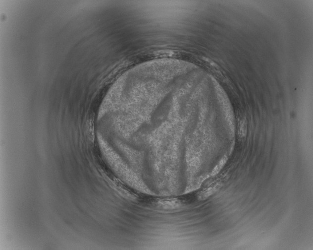 X0000073890666200609082124