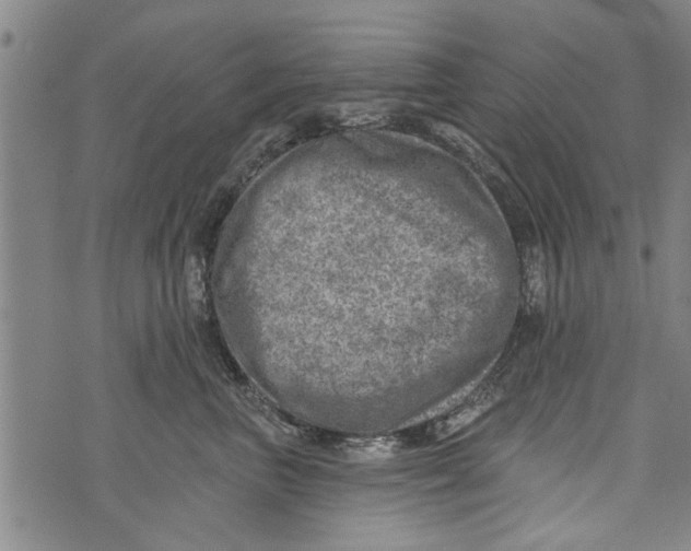 X0000073890667200609082124