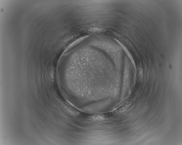 X0000073890668200609082124