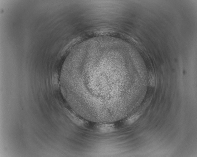 X0000073890670200609082124