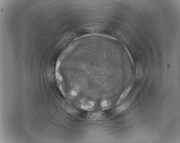 X0000073890671200609082124