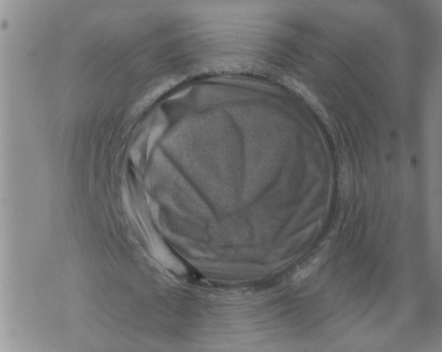 X0000073890673200609082123