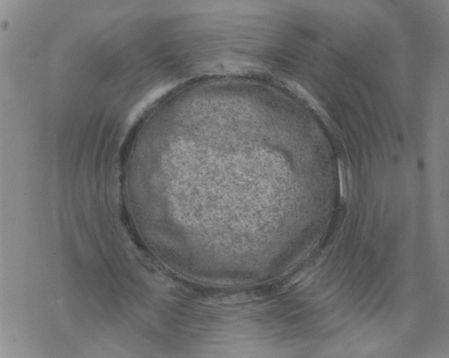 X0000073890675200609082123