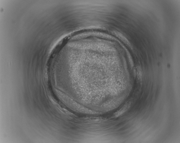 X0000073890676200609082123