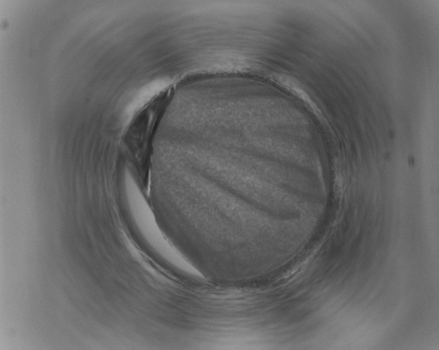 X0000073890677200609082123