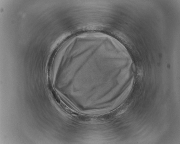 X0000073890678200609082123