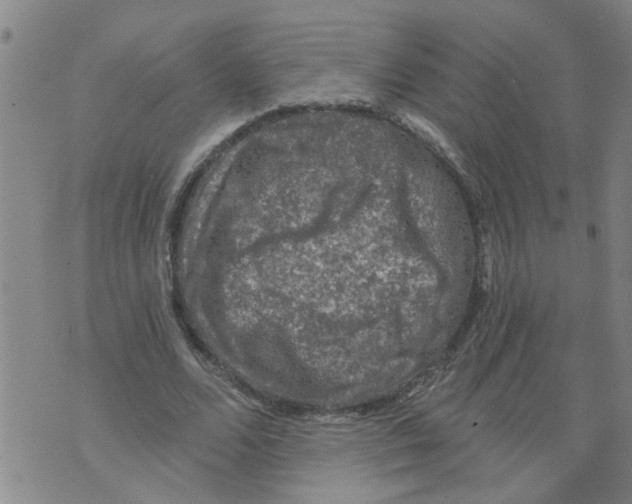 X0000073890680200609082123