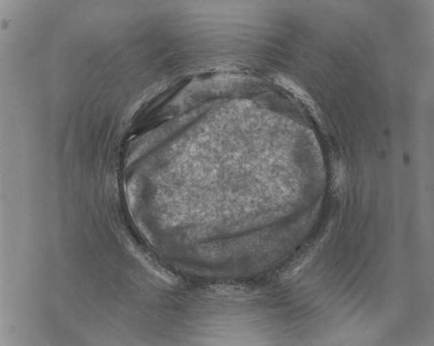 X0000073890681200609082123