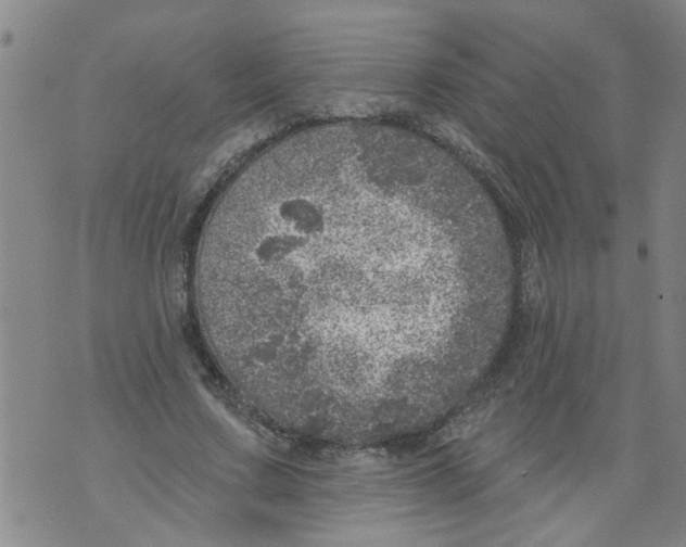 X0000073890683200609082123