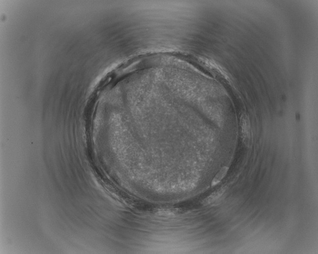 X0000073890684200609082123