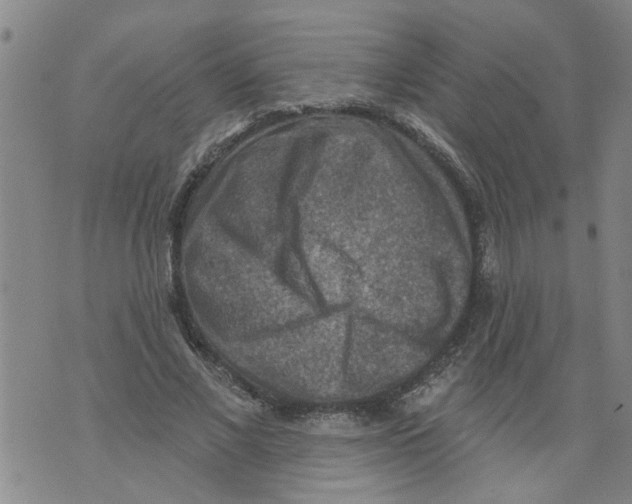 X0000073890685200609082123