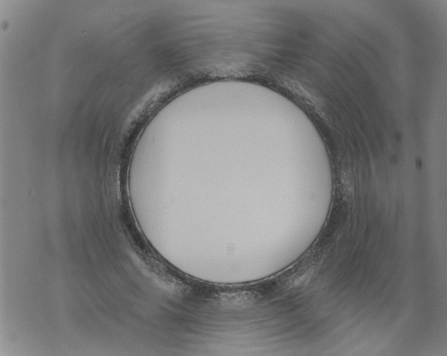 X0000073890686200609082123