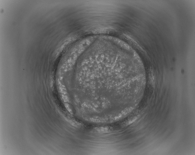 X0000073890687200609082123