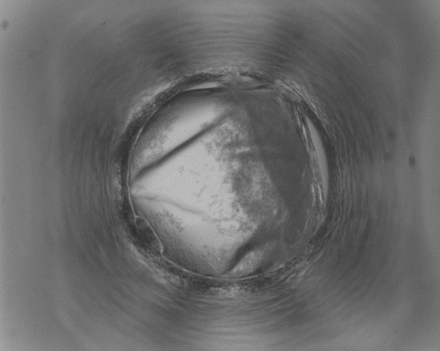 X0000073890688200609082123